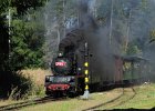 2021.09.25 JHMD U46.101 Jindřichův Hradec - Nová Bystřice (22)